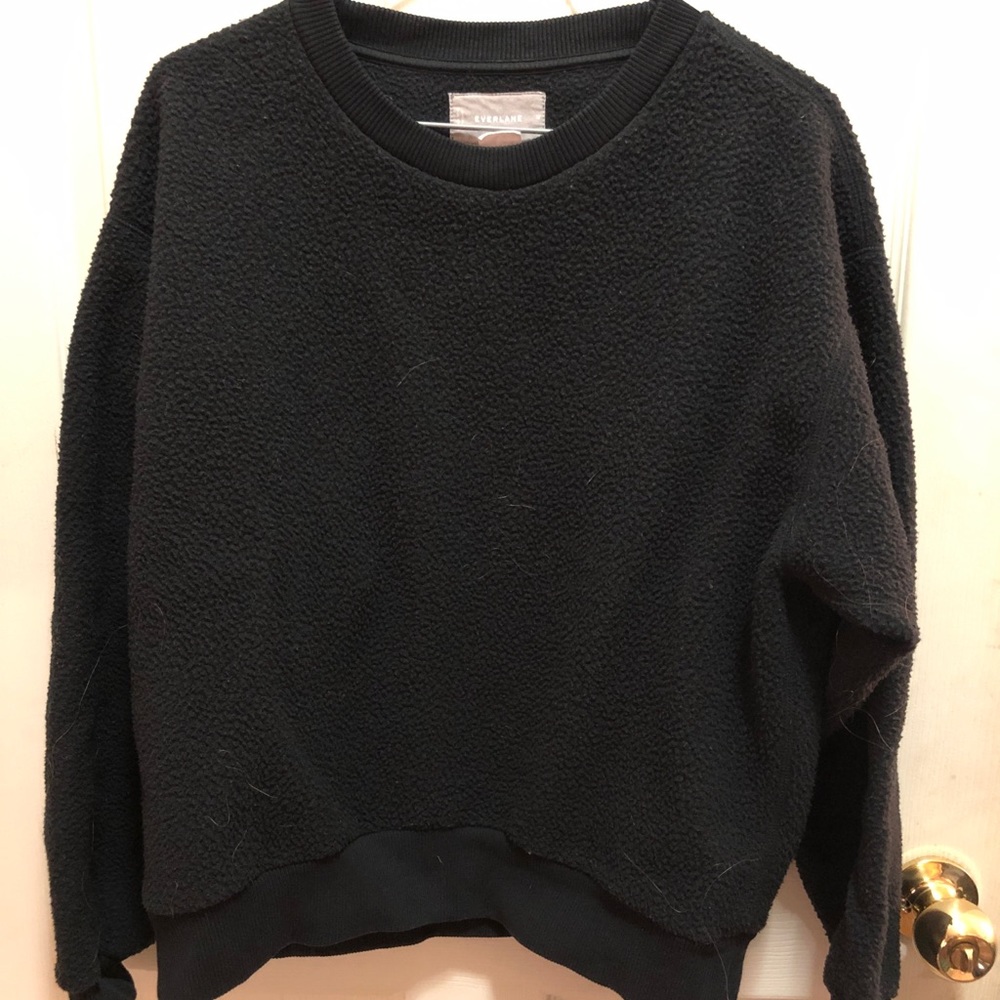 Everlane sweater